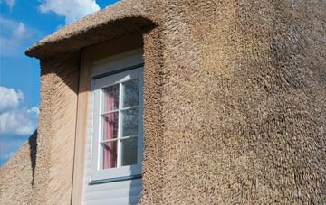 Noss thatch roof disadvantages